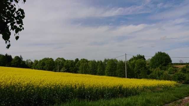 Działka rolno-budowlana Sułkowice. Zdjęcie 1