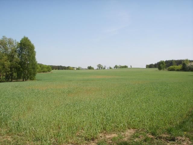 Działka rolno-budowlana Jania Góra. Zdjęcie 11