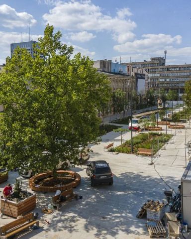 Mieszkanie 2-pokojowe Łódź Śródmieście, ul. Henryka Sienkiewicza. Zdjęcie 3