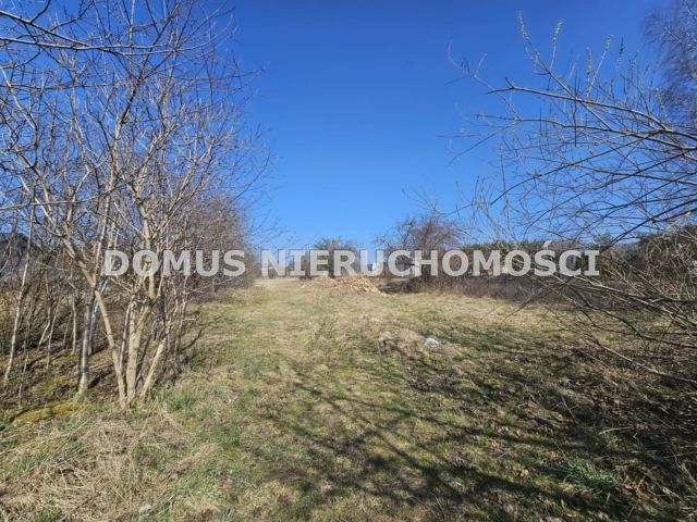 Działka inwestycyjna Brzeziny, ul. Henryka Sienkiewicza. Zdjęcie 3