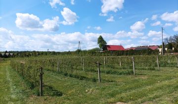 Działka budowlana Owczarnia Cegłówka