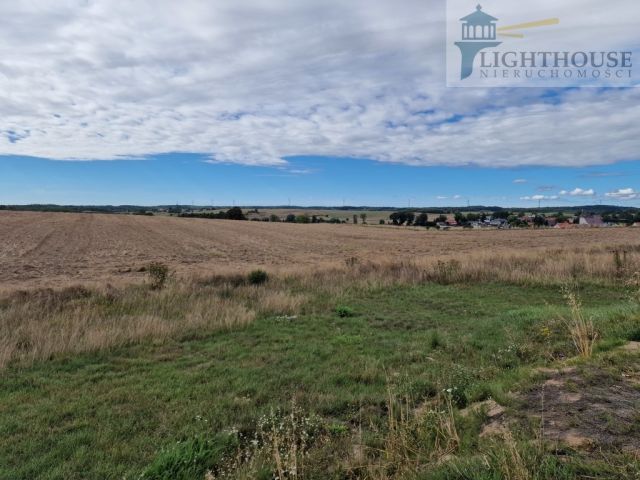 Działka siedliskowa Ełganowo. Zdjęcie 2