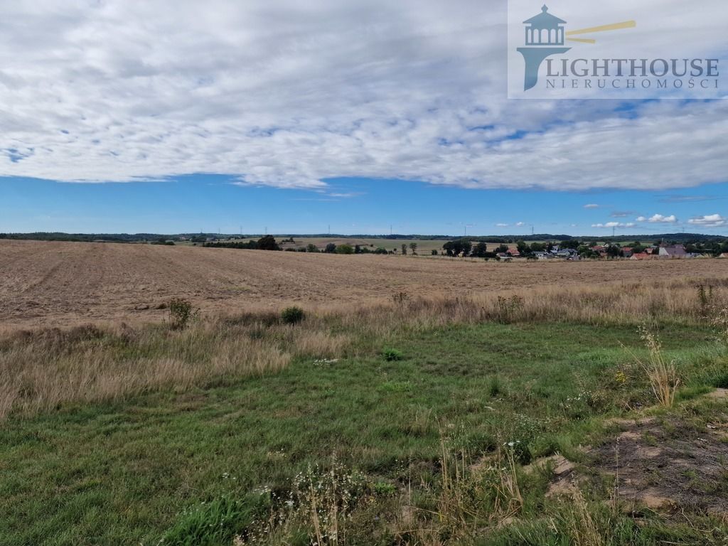 Działka siedliskowa Ełganowo. Zdjęcie 2