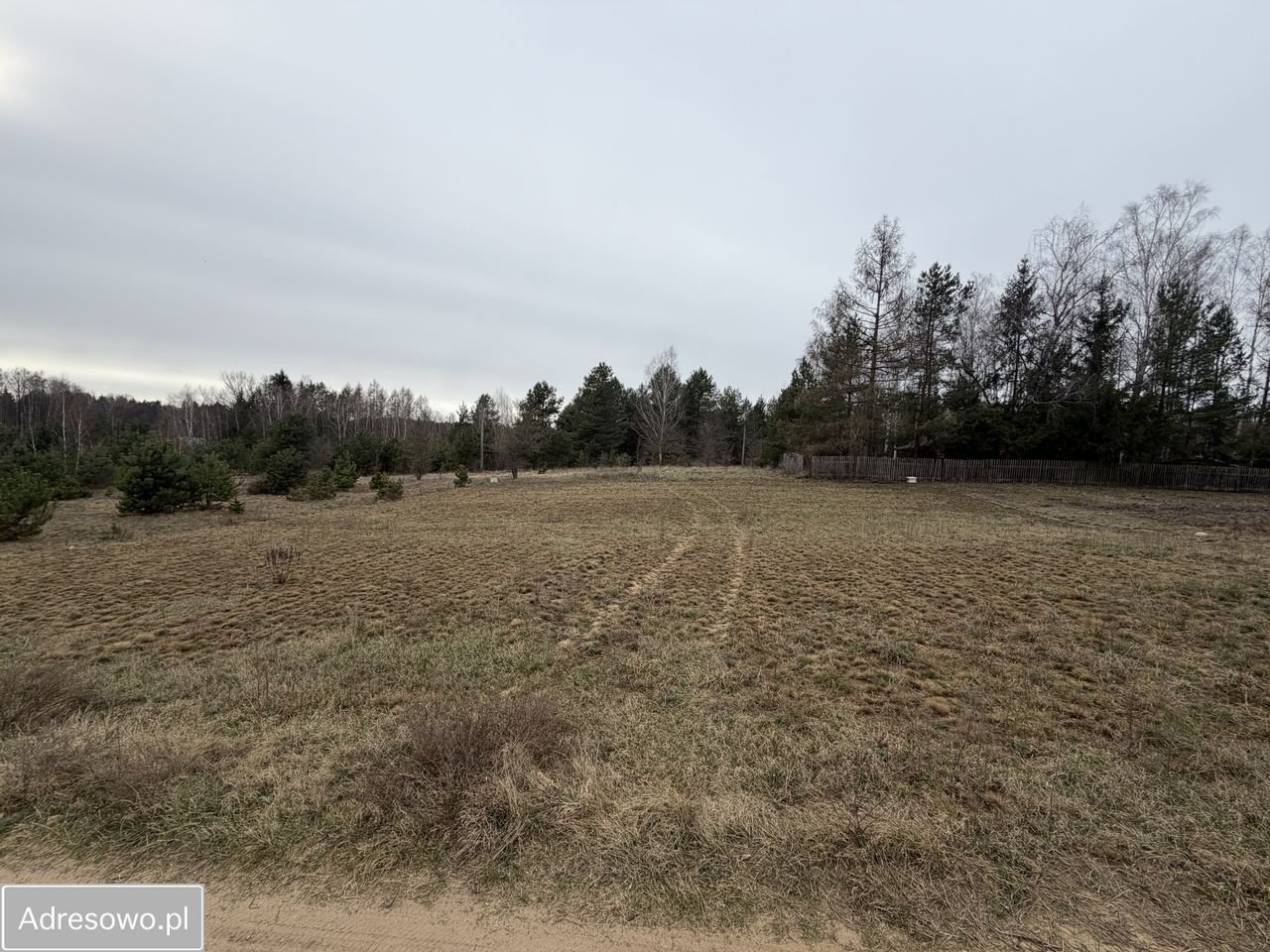 Działka budowlana Niewodnica Kościelna, ul. Borówkowa. Zdjęcie 2