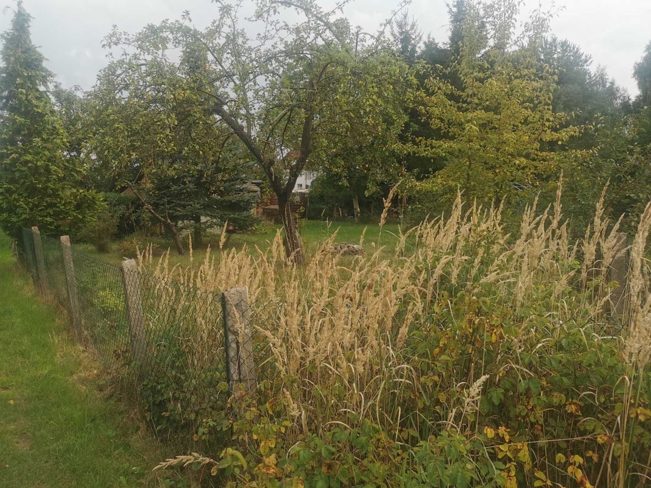 Działka rod Szczecin Gumieńce, ul. Tadeusza Szeligowskiego. Zdjęcie 6