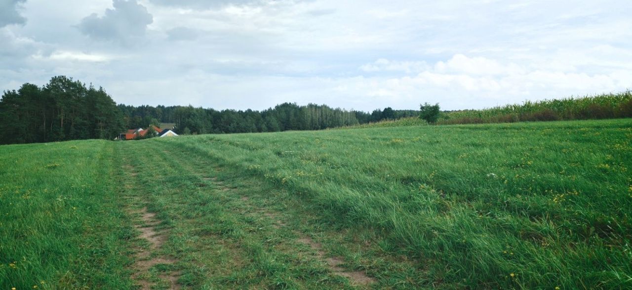 Działka rolno-budowlana Dobrzyniewo Duże, ul. Jodłowa. Zdjęcie 6