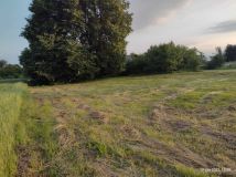 Działka rolno-budowlana Kępie. Zdjęcie 4