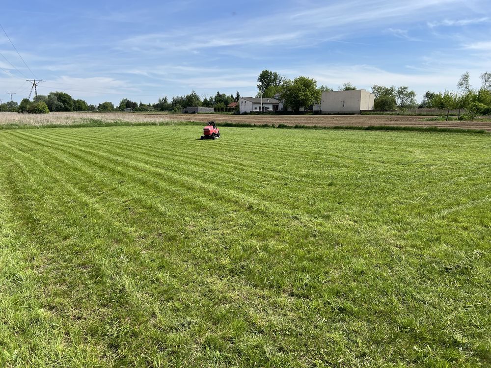 Działka rolna Cudów. Zdjęcie 2