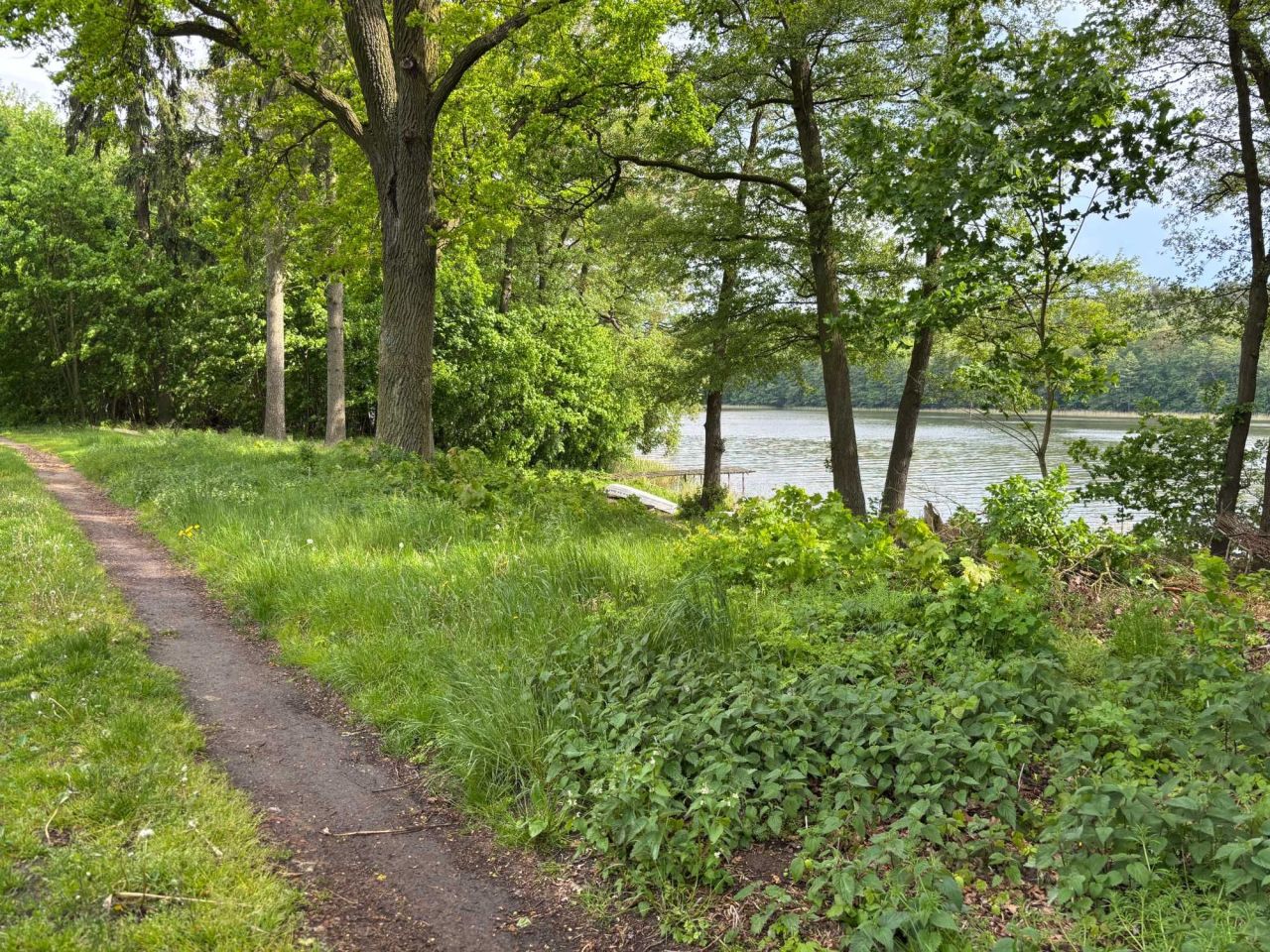 Działka rekreacyjna Trupel. Zdjęcie 5