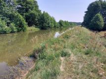 Działka rolno-budowlana Borsk. Zdjęcie 3