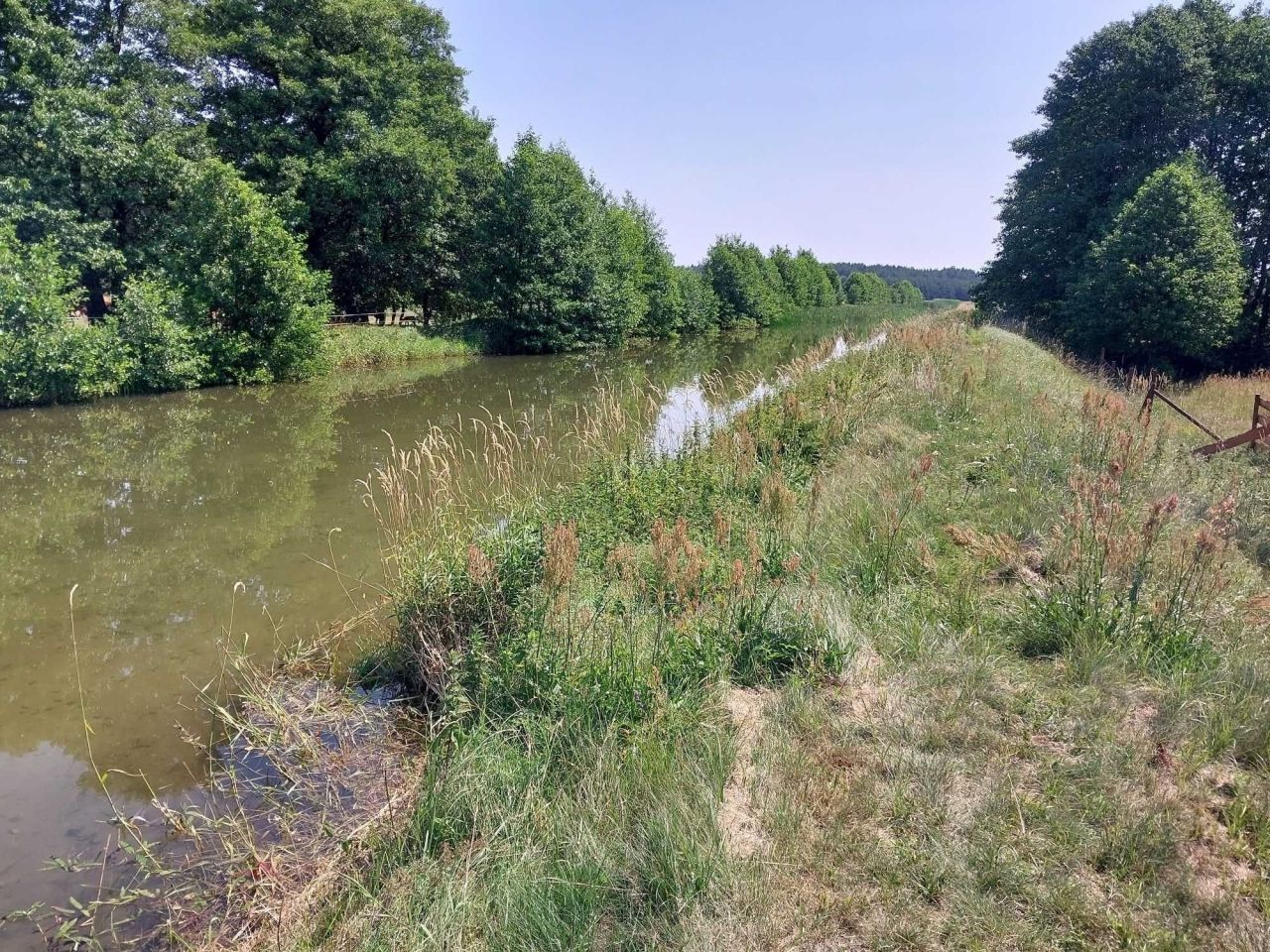 Działka rolno-budowlana Borsk. Zdjęcie 4