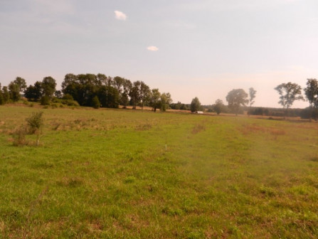 Działka rolna Mingajny