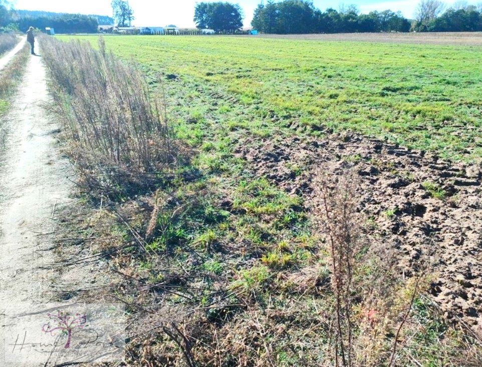 Działka budowlana Huta Bardzyńska. Zdjęcie 13