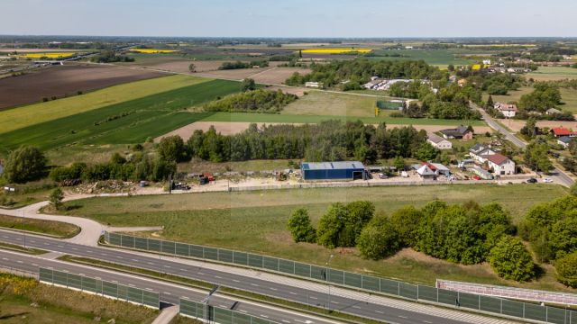 Działka inwestycyjna Tłuste. Zdjęcie 8