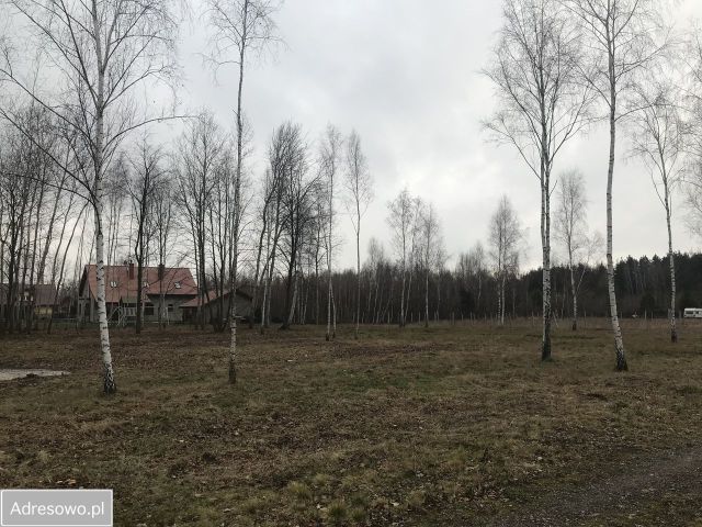 Działka rolno-budowlana Adamowizna. Zdjęcie 1