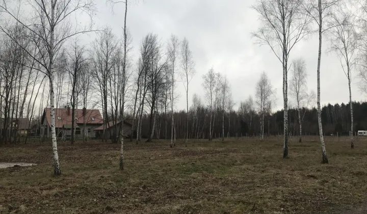 Działka rolno-budowlana Adamowizna