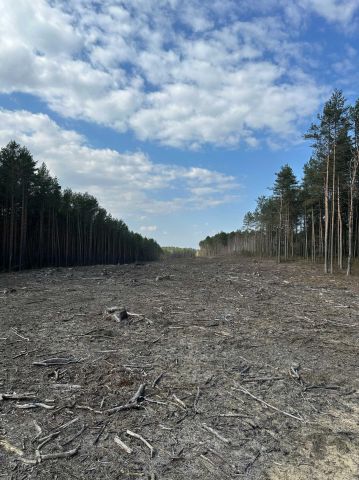 Działka leśna Zaręby-Jartuzy. Zdjęcie 1