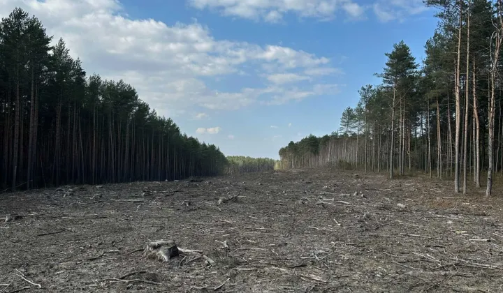 Działka leśna Zaręby-Jartuzy