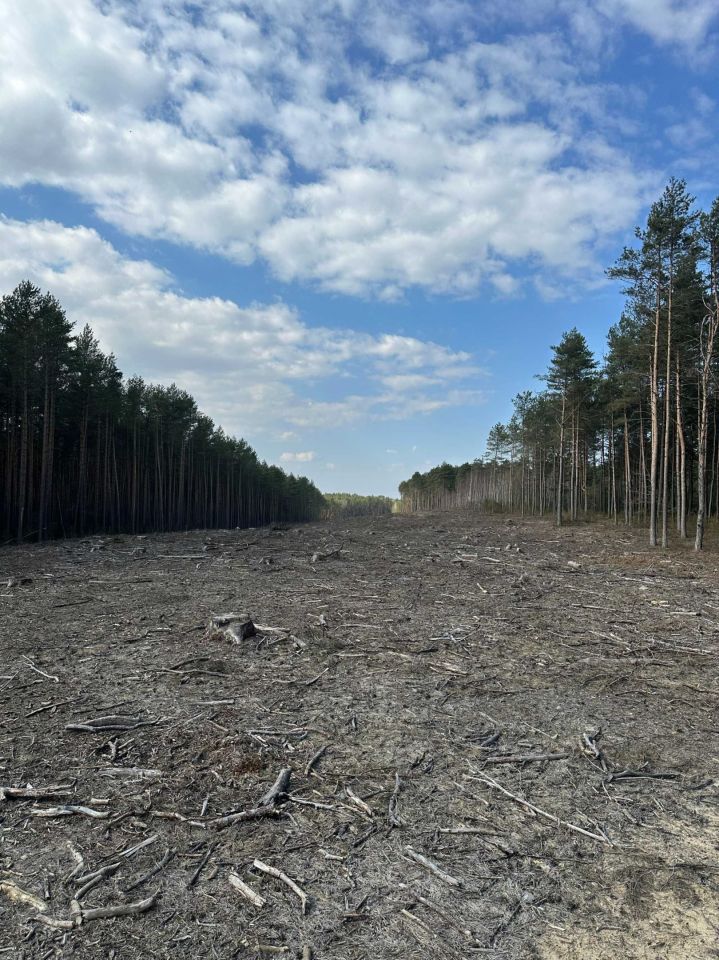 Działka leśna Zaręby-Jartuzy. Zdjęcie 1
