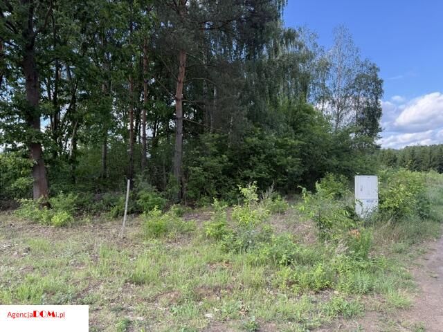 Działka budowlana Zboiska. Zdjęcie 3