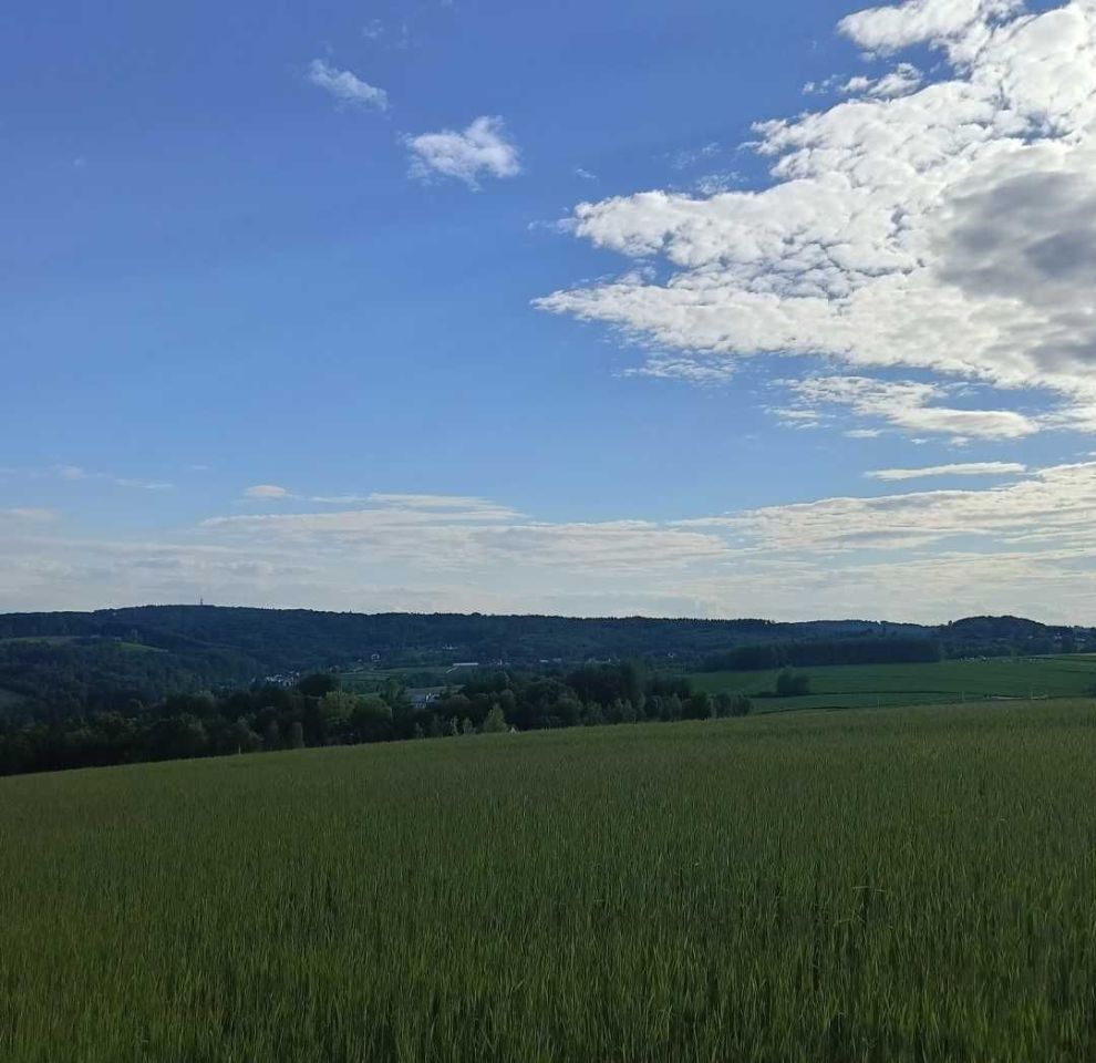 Działka rolna Niedźwiada