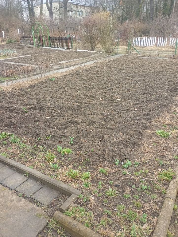 Działka rod Wrocław Maślice, ul. Gosławicka. Zdjęcie 3