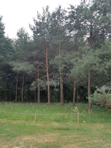 Działka rod Styrzyniec. Zdjęcie 1