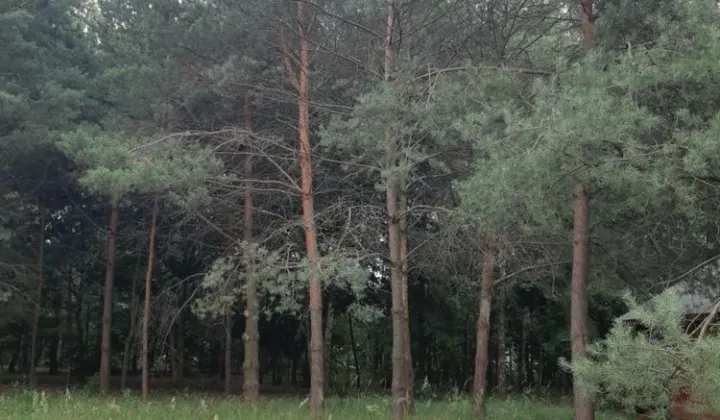 Działka rod Styrzyniec