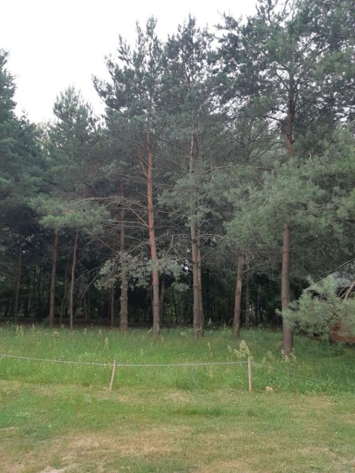 Działka rod Styrzyniec. Zdjęcie 1