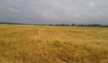 Działka rolna Parszczyce