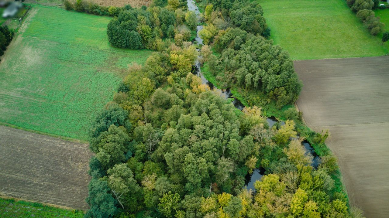 Działka rolno-budowlana Nowe Mostki. Zdjęcie 3