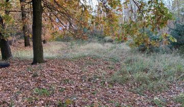 Działka budowlana Grębocin Kolonia Papowska, ul. Okrężna