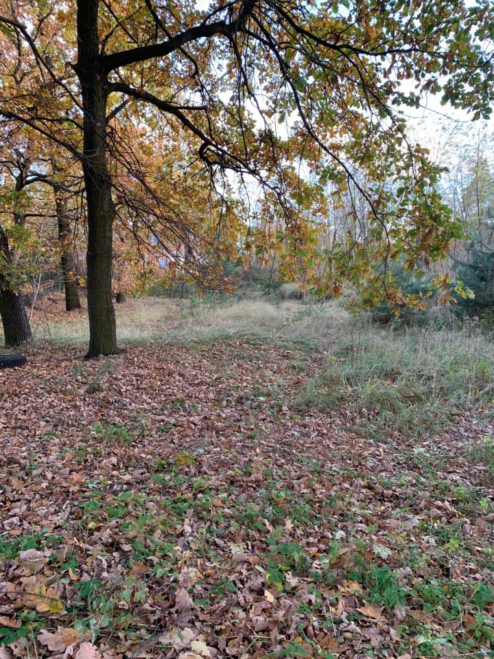 Działka budowlana Grębocin Kolonia Papowska, ul. Okrężna. Zdjęcie 2