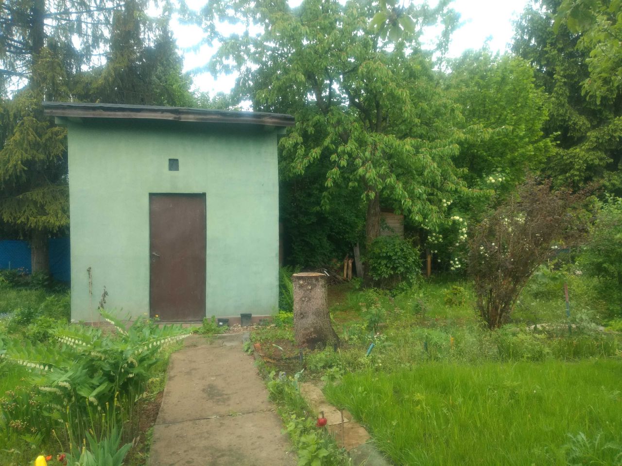 Działka rod Sosnowiec. Zdjęcie 1