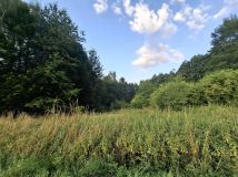 Działka rolno-budowlana Chmielnik, brak. Zdjęcie 1