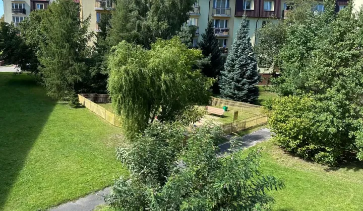 Mieszkanie 3-pokojowe Łódź Widzew, ul. Karola Adamieckiego