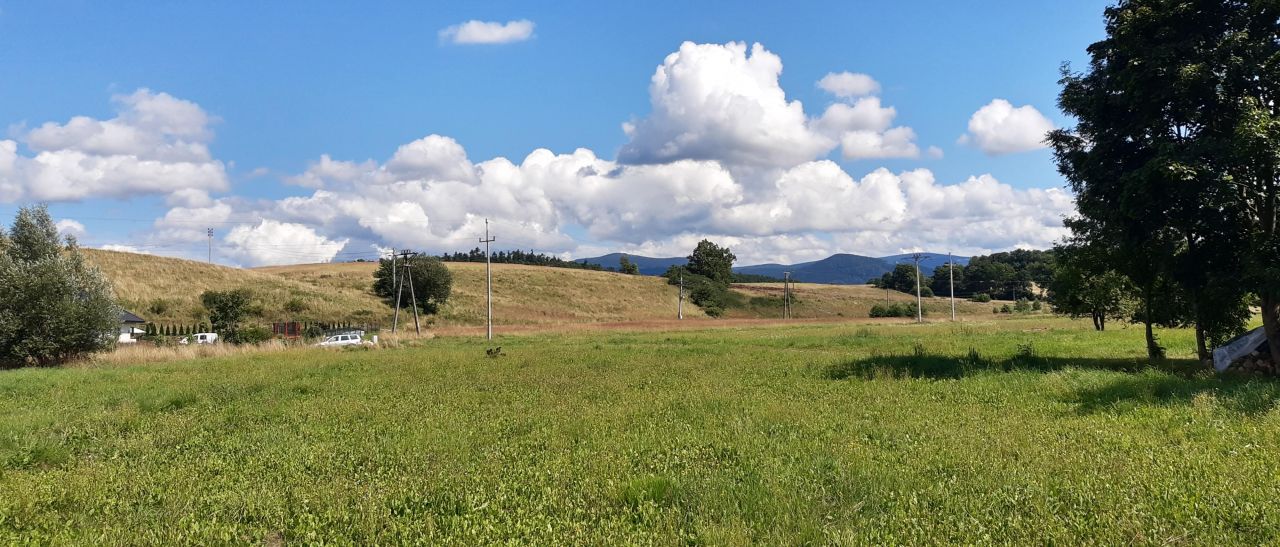 dom wolnostojący, 6 pokoi Wilkanów. Zdjęcie 4