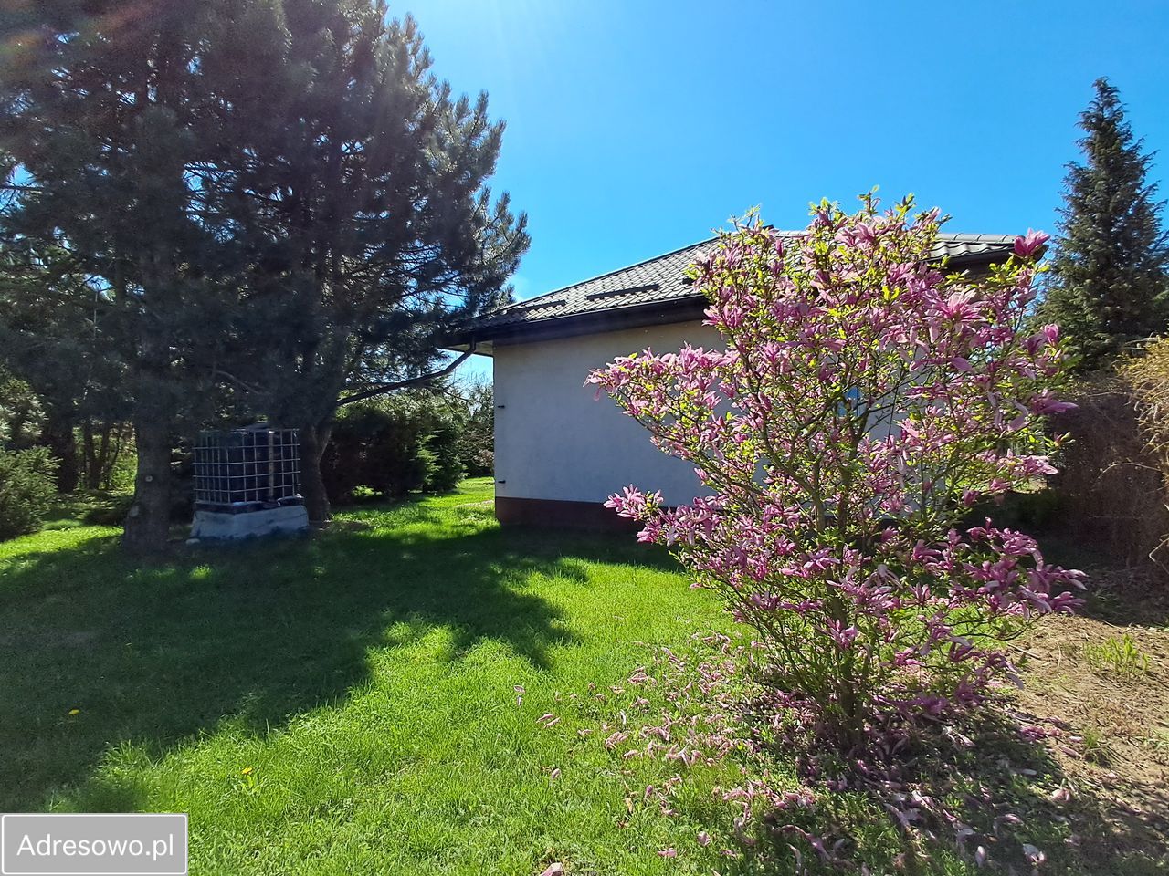 Działka budowlana Bogucin. Zdjęcie 2