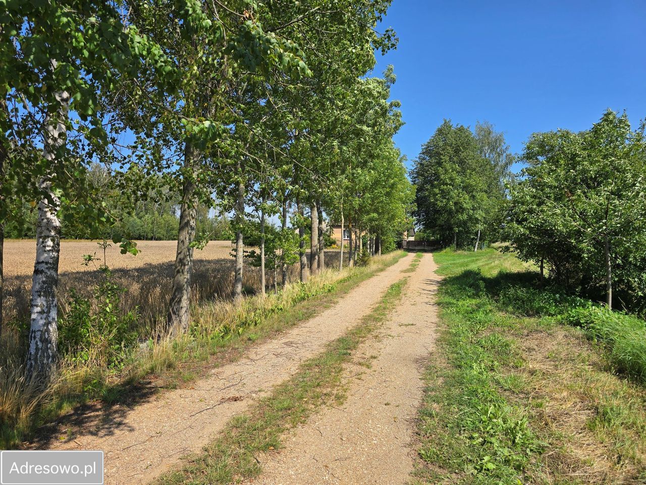 siedlisko, 3 pokoje Kuraszewo. Zdjęcie 3