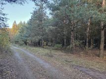 Działka rolna Bieniewiec, ul. Dziewicza