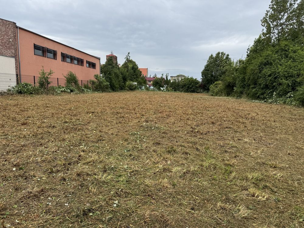 Działka budowlana Wierzbno. Zdjęcie 2