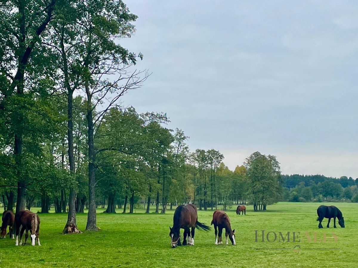 Działka budowlana Krawcowizna. Zdjęcie 15