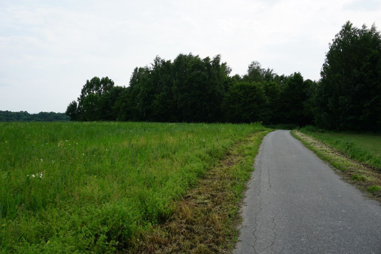 Działka budowlana Przybówka. Zdjęcie 14