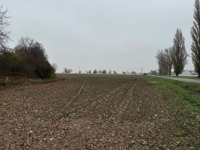 Działka inwestycyjna Mirosławice. Zdjęcie 8