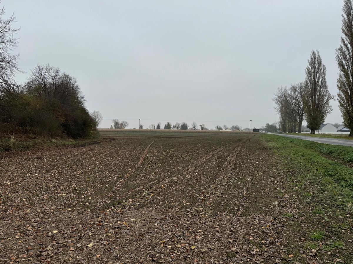 Działka inwestycyjna Mirosławice. Zdjęcie 8