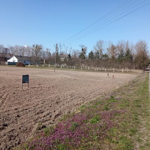 Działka rolno-budowlana Helenów. Zdjęcie 1