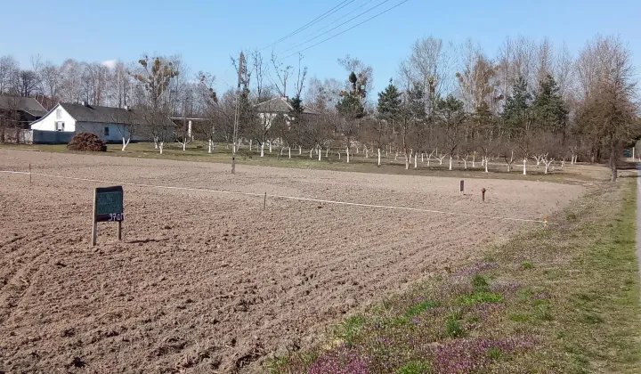 Działka rolno-budowlana Helenów