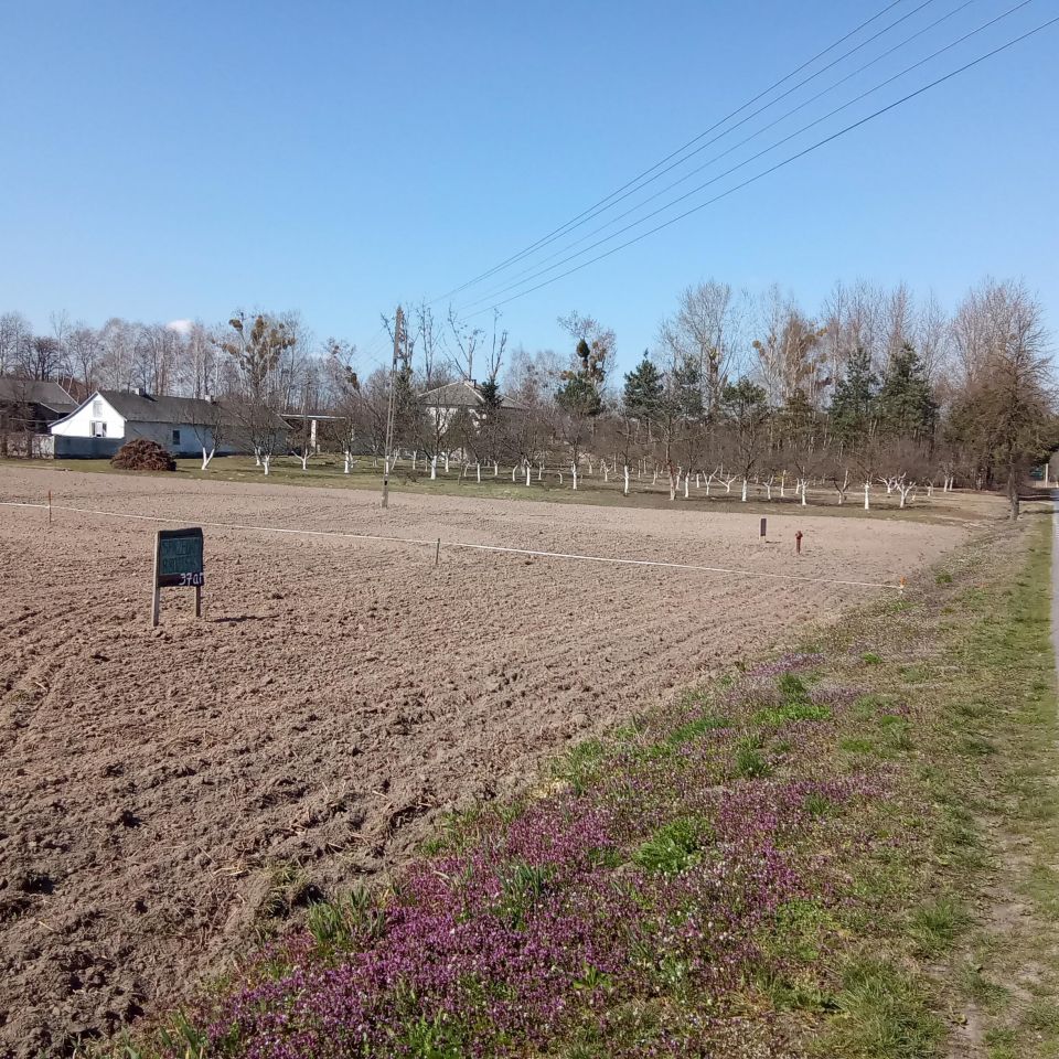 Działka rolno-budowlana Helenów. Zdjęcie 1