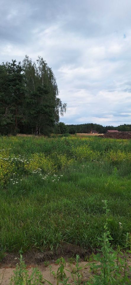 Działka rekreacyjna Wieleń. Zdjęcie 3