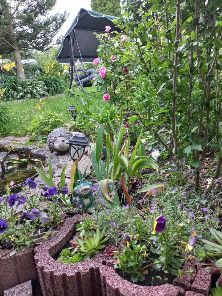 Działka rod Dys Bernatówka, ul. Bernatówka. Zdjęcie 13